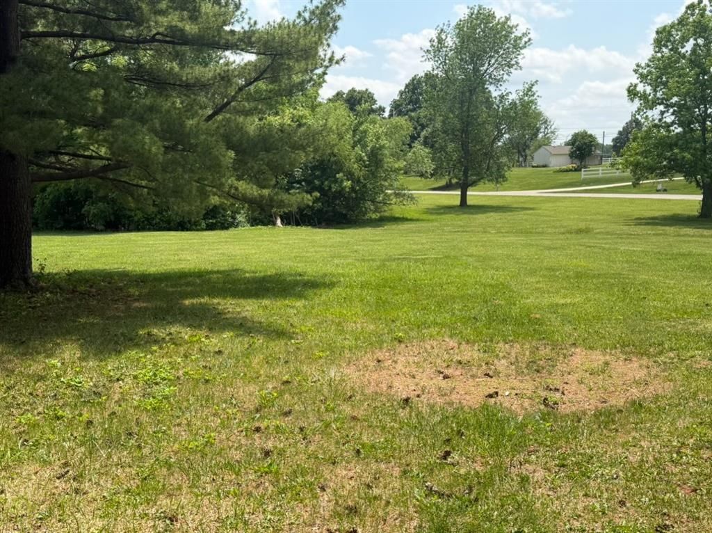 11709 W Harmony Lane — photo 4