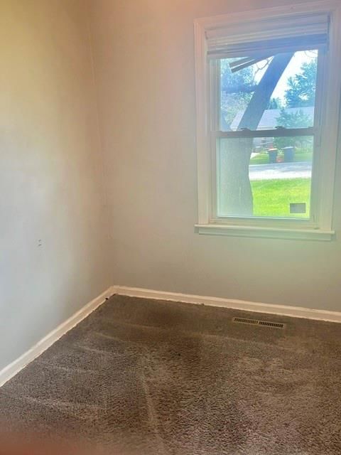 10316 Oakland Avenue — photo 4