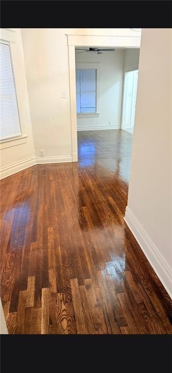 805 Spruce Avenue — photo 4