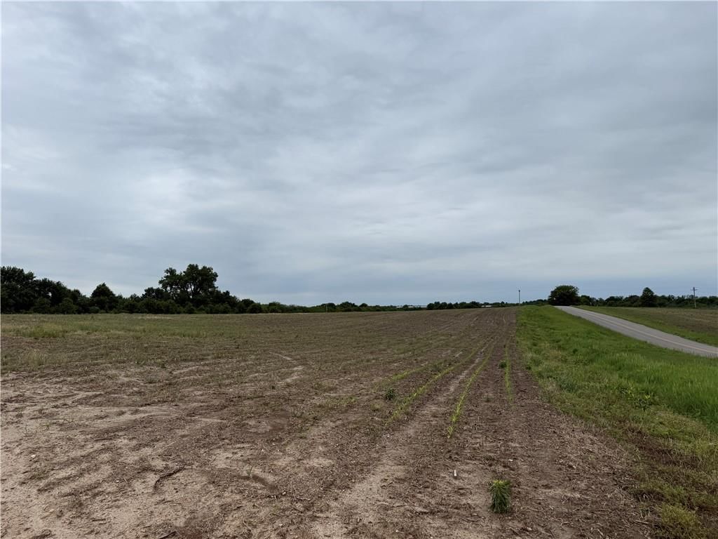 Cotton Road — photo 4