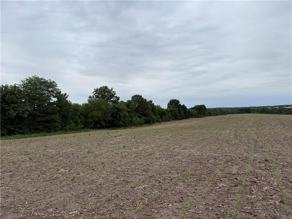 Cotton Road — photo 9
