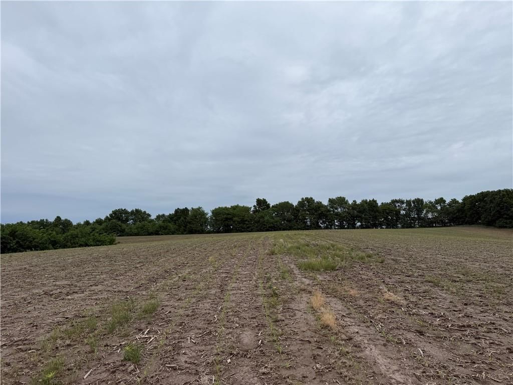 Cotton Road — photo 10