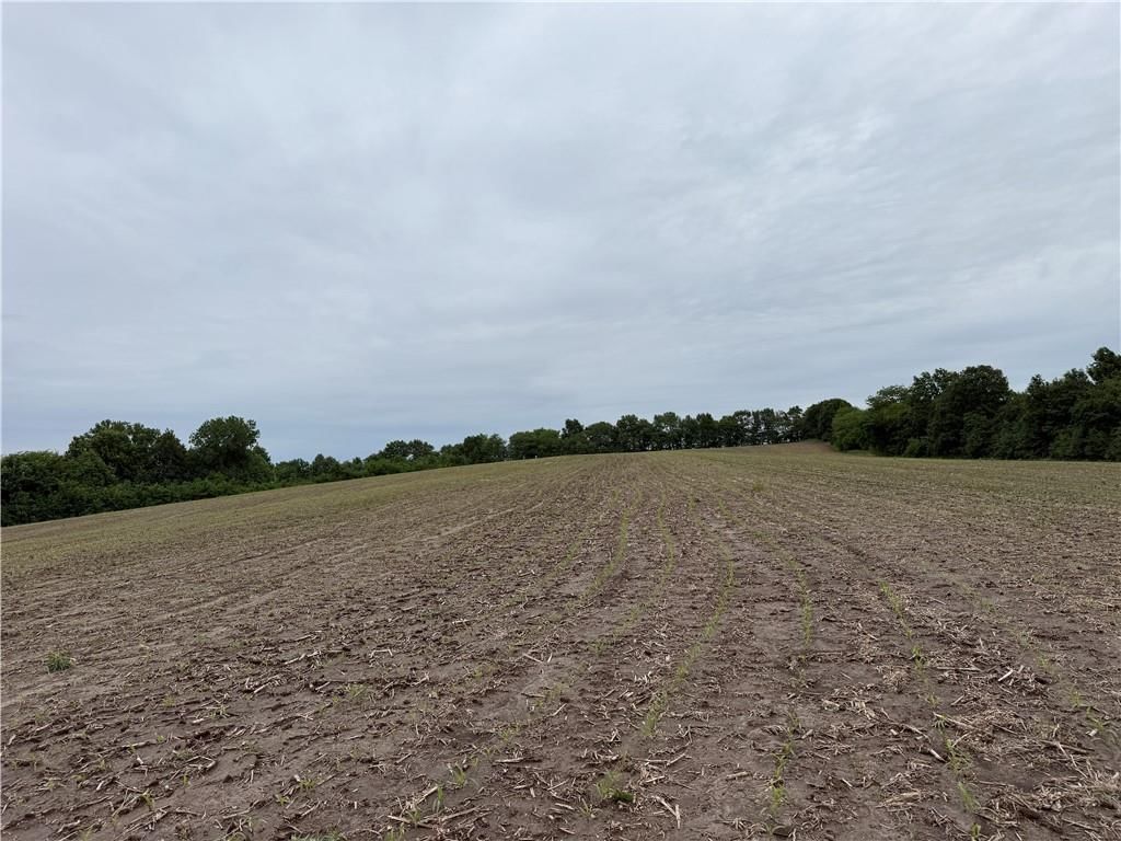 Cotton Road — photo 11