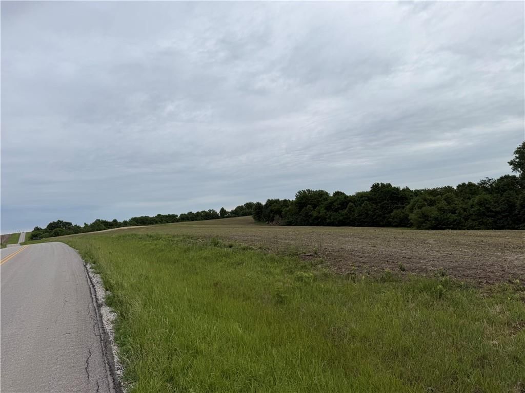Cotton Road — photo 12