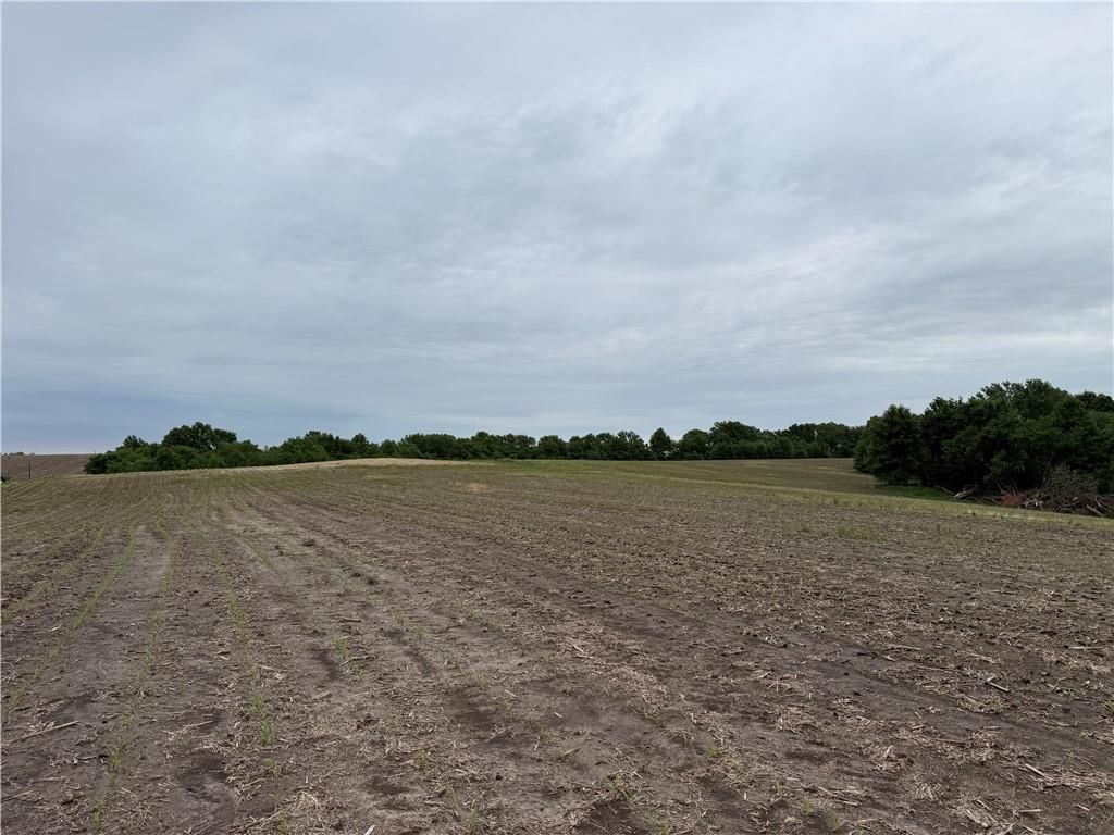 Cotton Road — photo 13