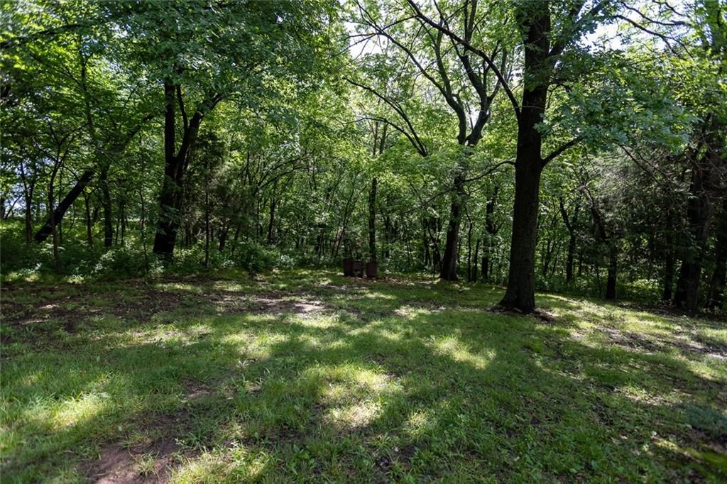 17635 Stubbs Station Road — photo 38