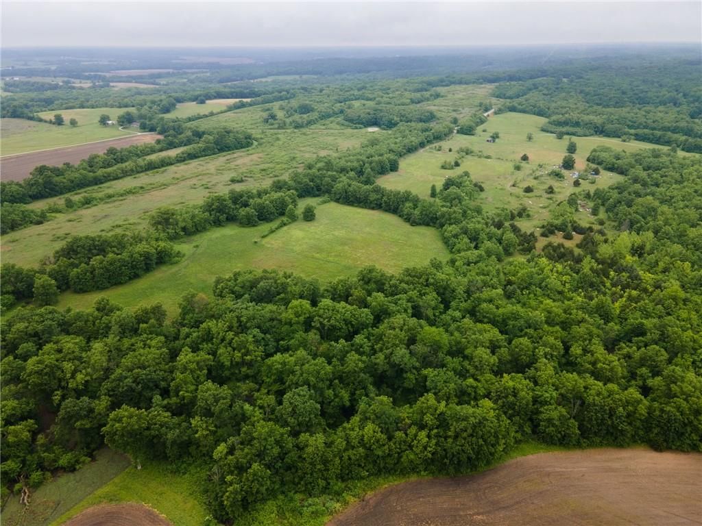 16313 Conservation Road — photo 4