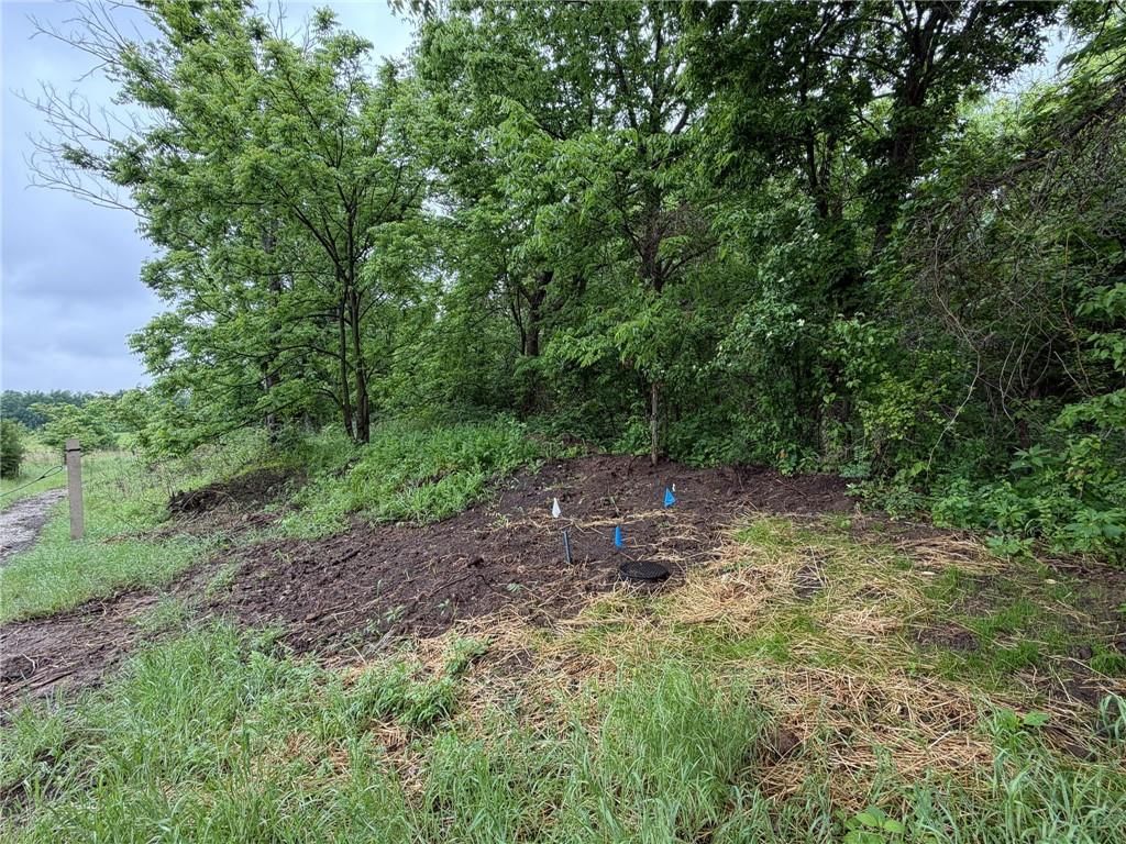 16313 Conservation Road — photo 9