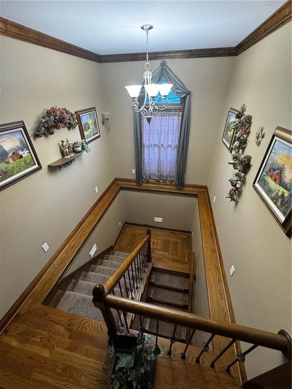 317 S Kentucky Street — photo 30