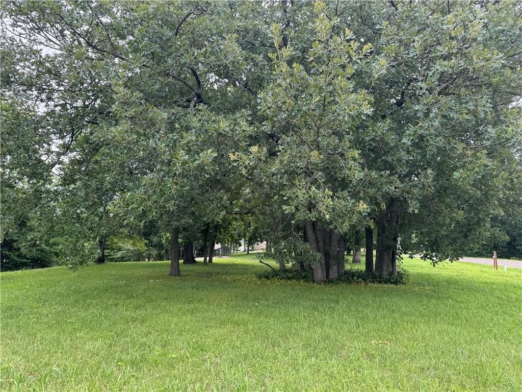 Lot 643 Lake Viking Terrace — photo 9