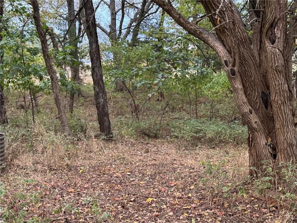 165 Linn Valley Boulevard — photo 2