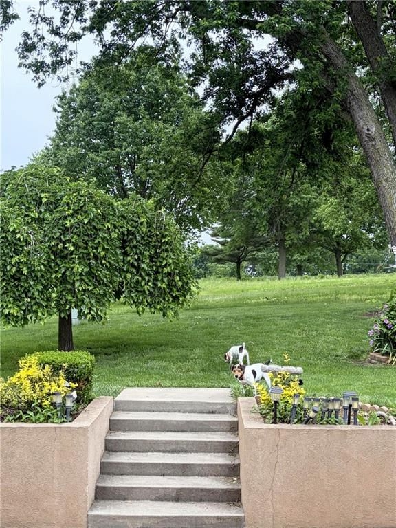 9711 Betsy Ross Lane — photo 48