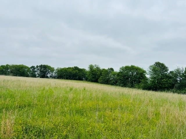 11.63 Ac m/l SW 225th Street — photo 3
