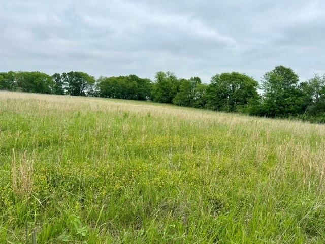 11.63 Ac m/l SW 225th Street — photo 4