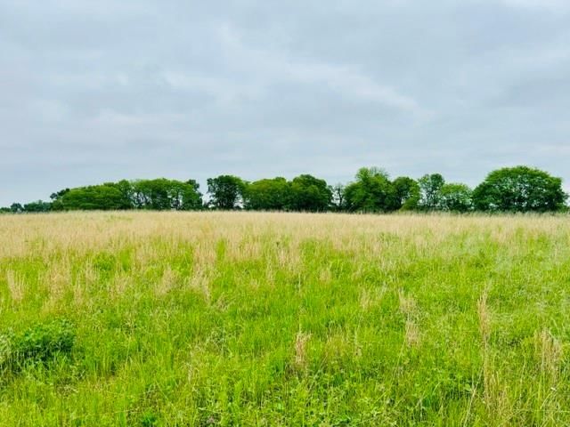 11.63 Ac m/l SW 225th Street — photo 5