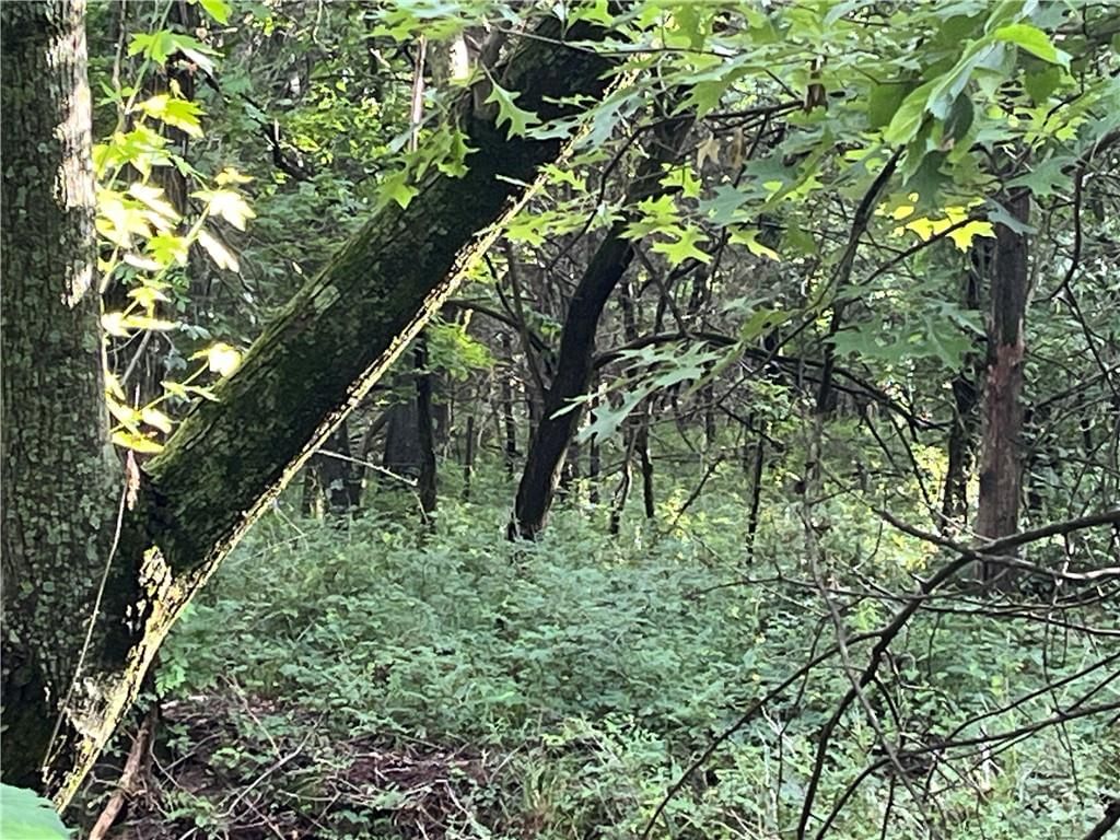 00 SE HWY 69 ALT Highway — photo 5