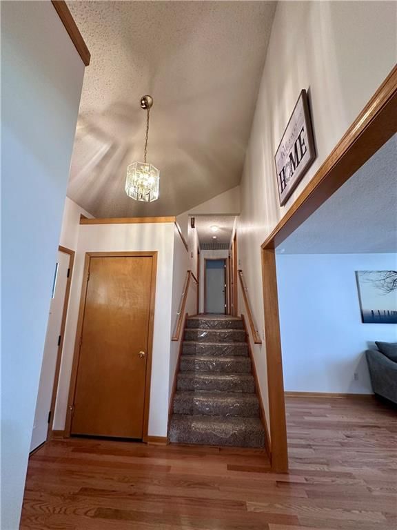 508 Quail Creek Drive — photo 17