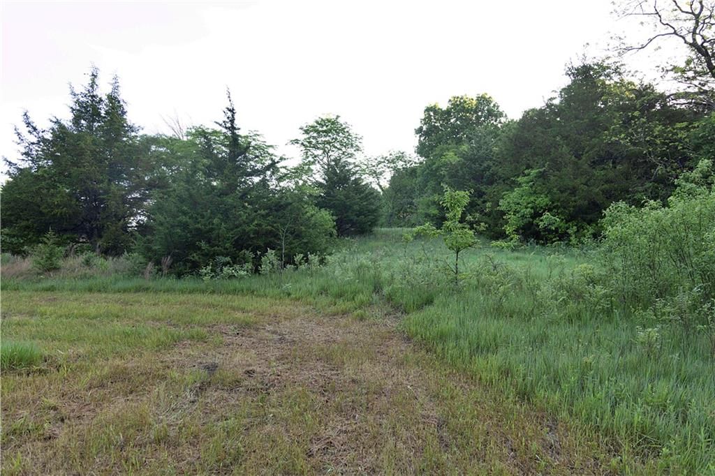 Murray Road — photo 22