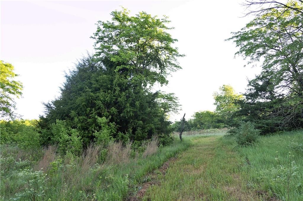 Murray Road — photo 23