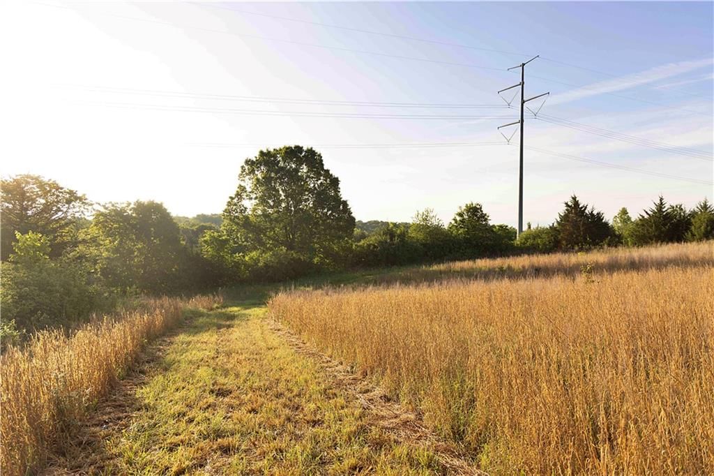 Murray Road — photo 33