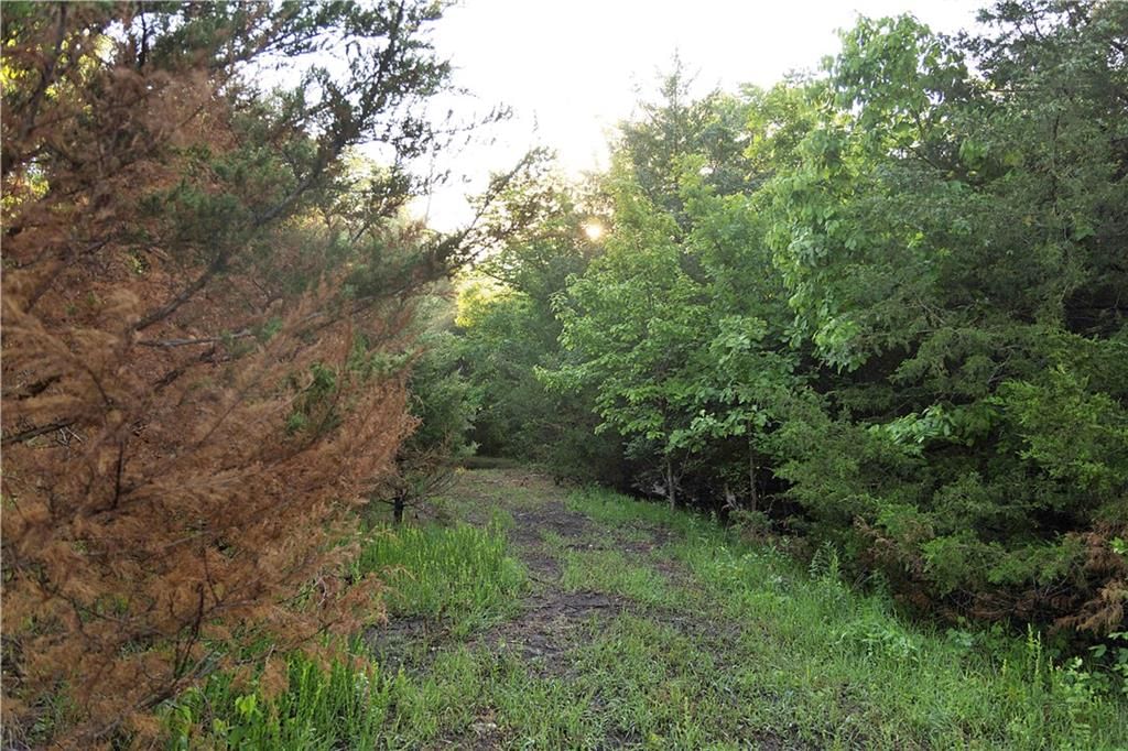 Murray rd Road — photo 31