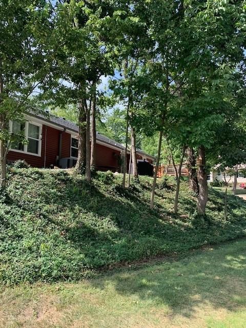 12108 OAK RIDGE Road — photo 15
