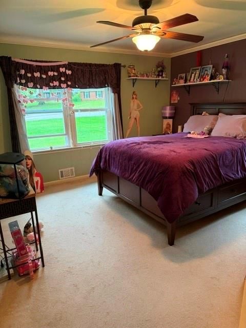12108 OAK RIDGE Road — photo 40