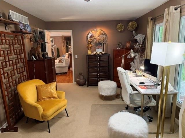 12108 OAK RIDGE Road — photo 48