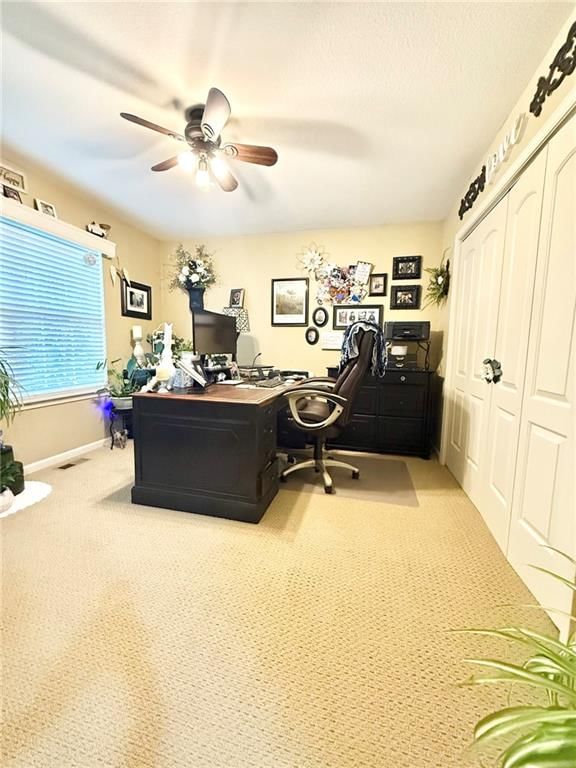 2128 Alder Street — photo 17