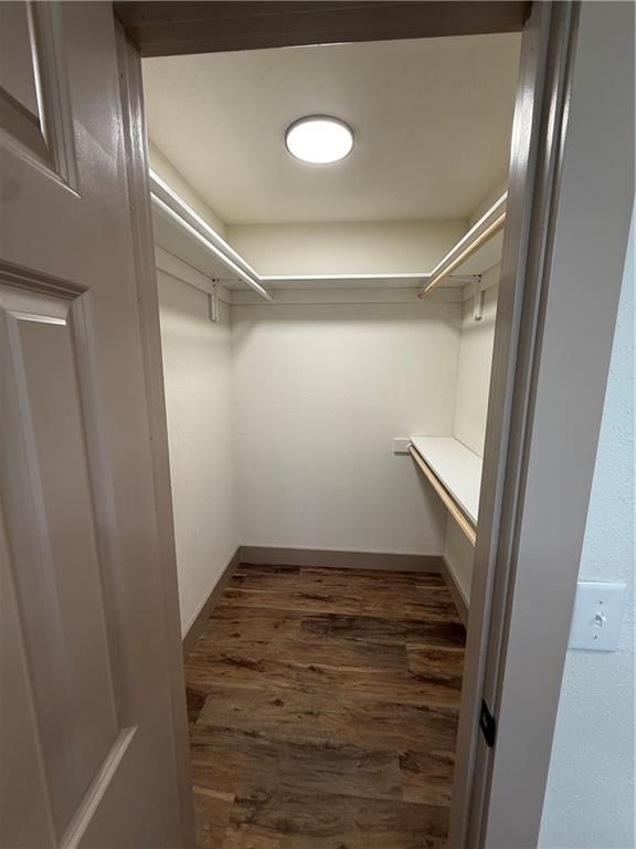 501 S Olive Street — photo 39