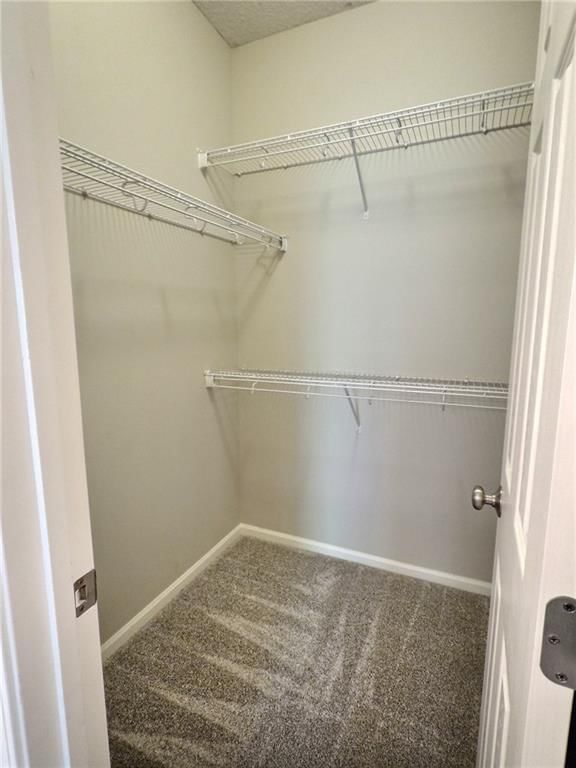 7117 McCoy Street — photo 30