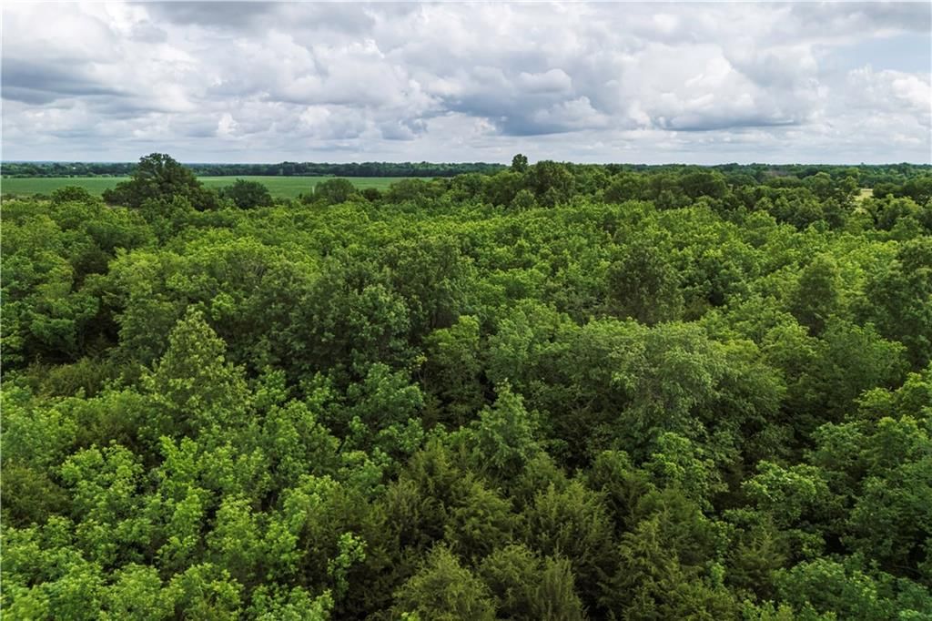 3068 HWY 169 Highway — photo 40