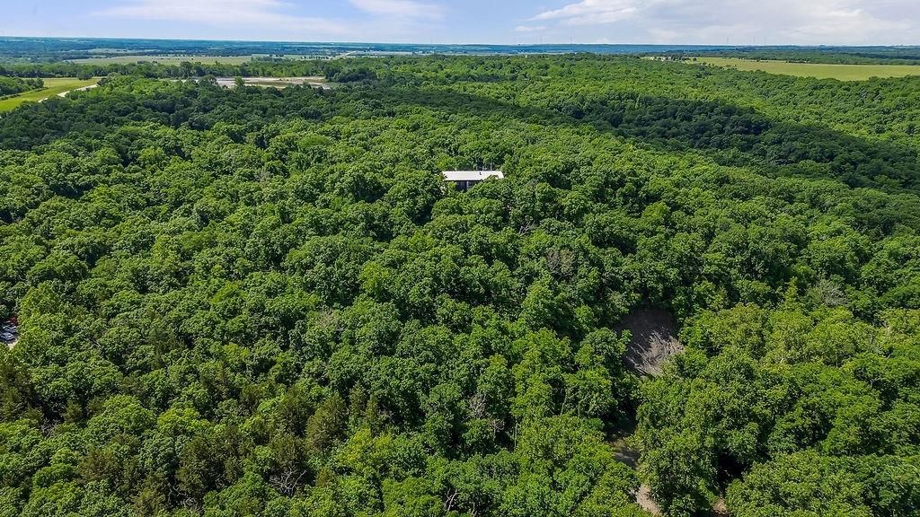 1184 Highway 3 — photo 46