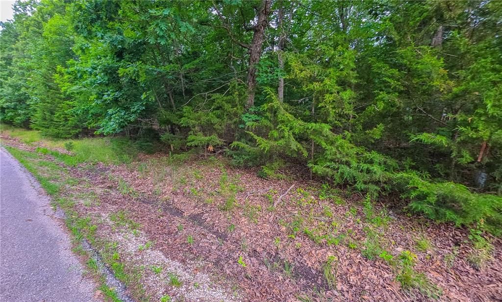 Lot #1352 Champion Drive — photo 2