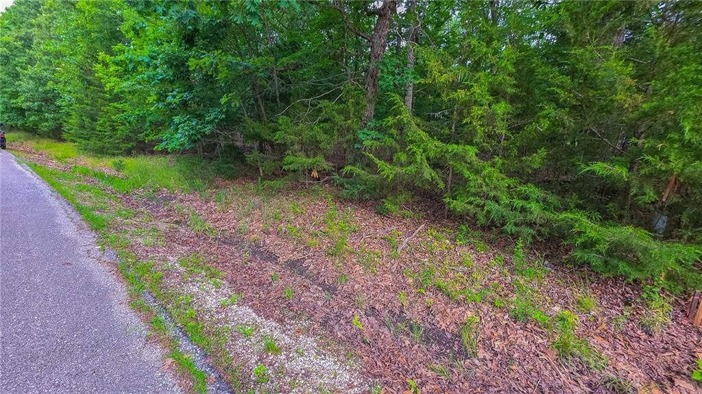 Lot #1352 Champion Drive — photo 3