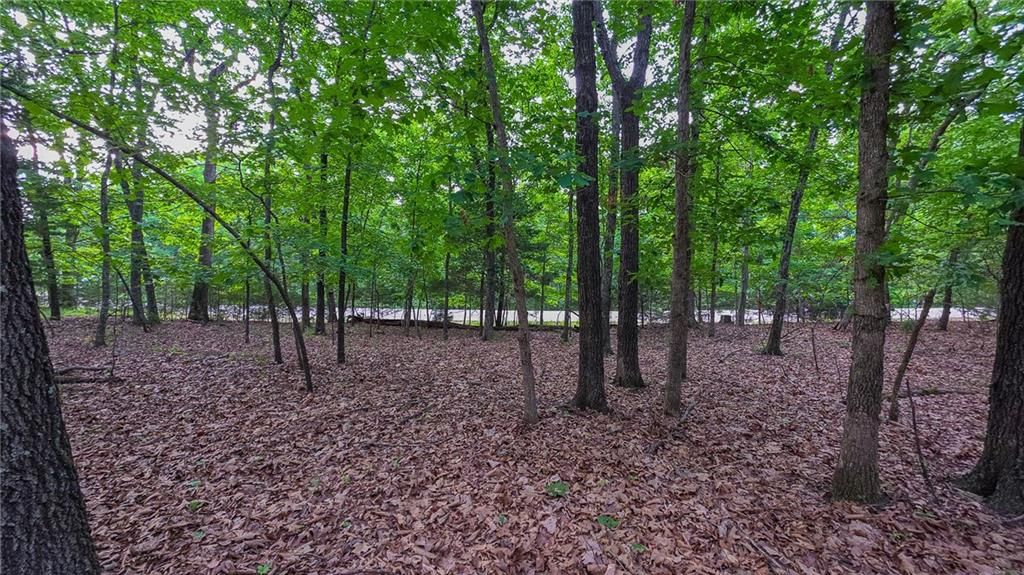 Lot #1352 Champion Drive — photo 4