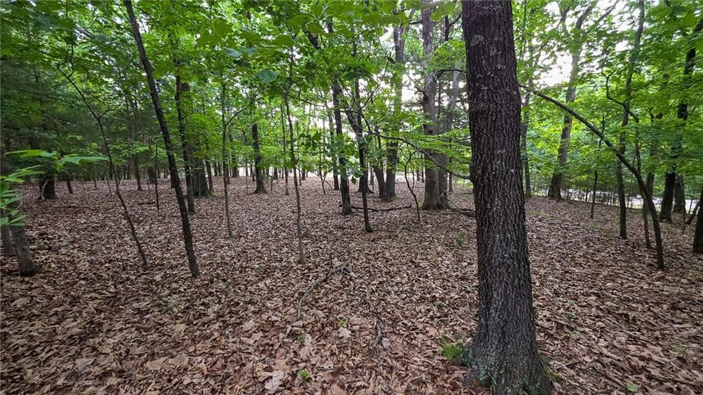 Lot #1352 Champion Drive — photo 5