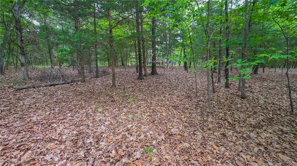 Lot #1352 Champion Drive — photo 6