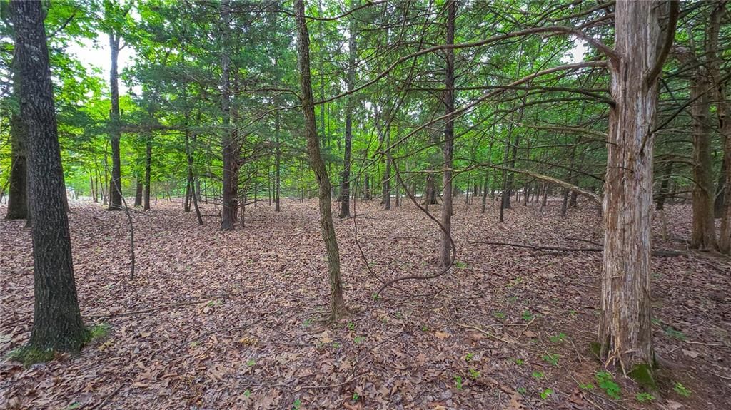 Lot #1352 Champion Drive — photo 7