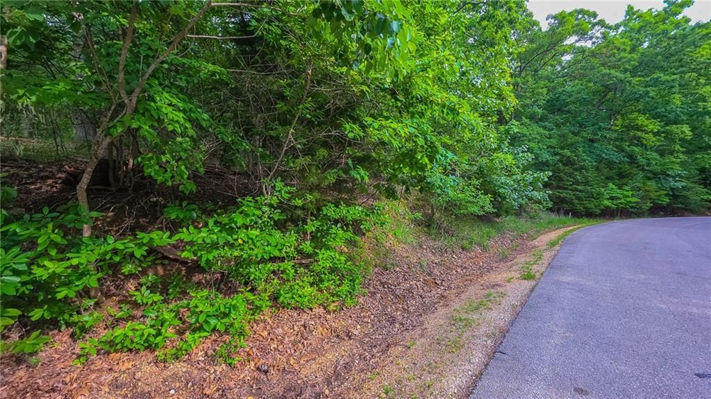 Lot #469 Grand View Drive — photo 2