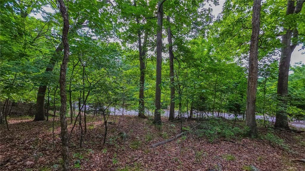 Lot #469 Grand View Drive — photo 4
