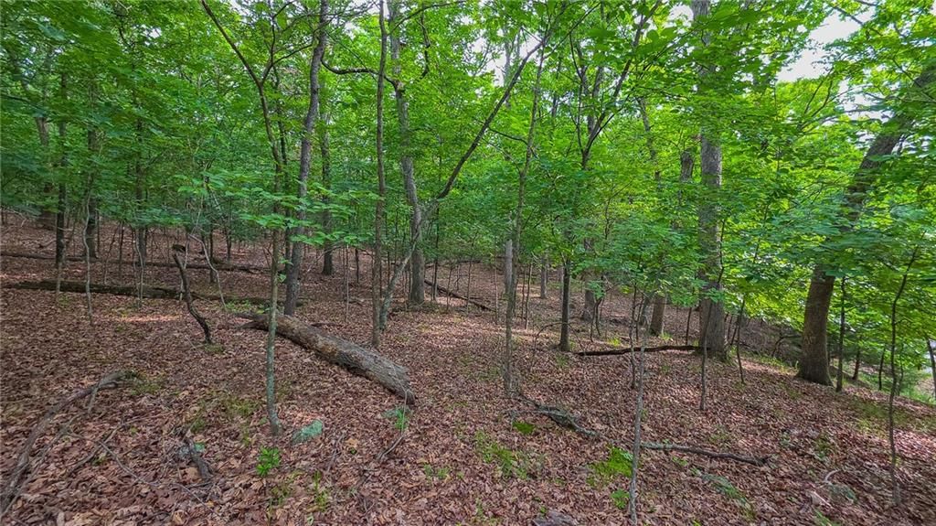 Lot #469 Grand View Drive — photo 5