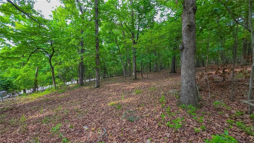 Lot #469 Grand View Drive — photo 6