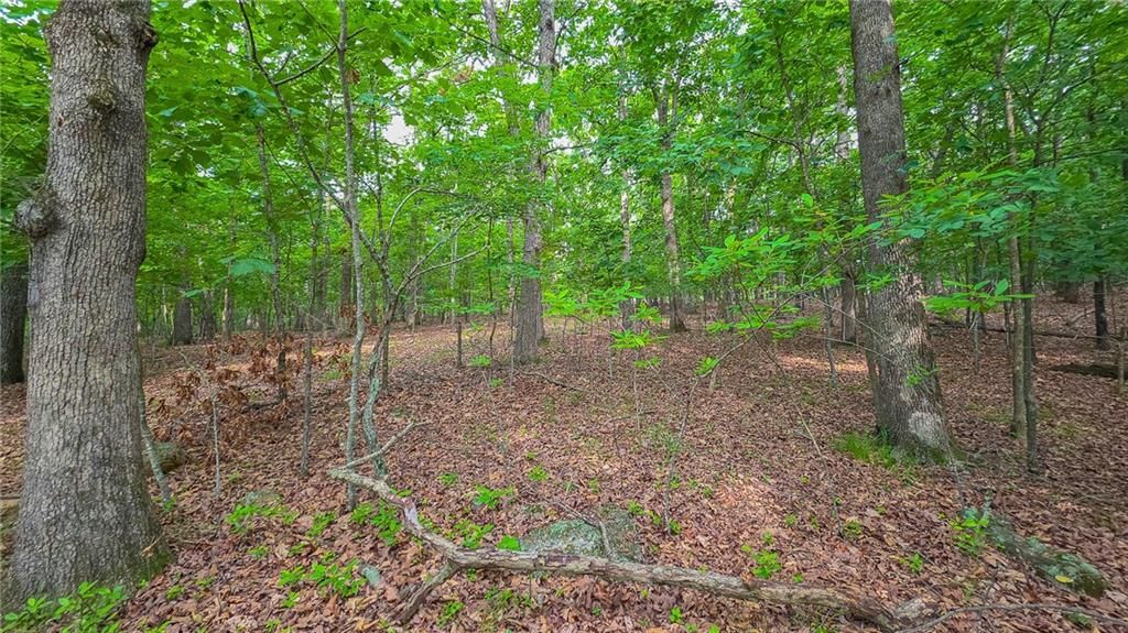 Lot #469 Grand View Drive — photo 7