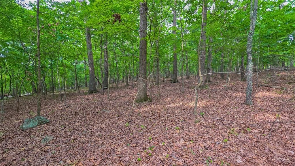 Lot #469 Grand View Drive — photo 8