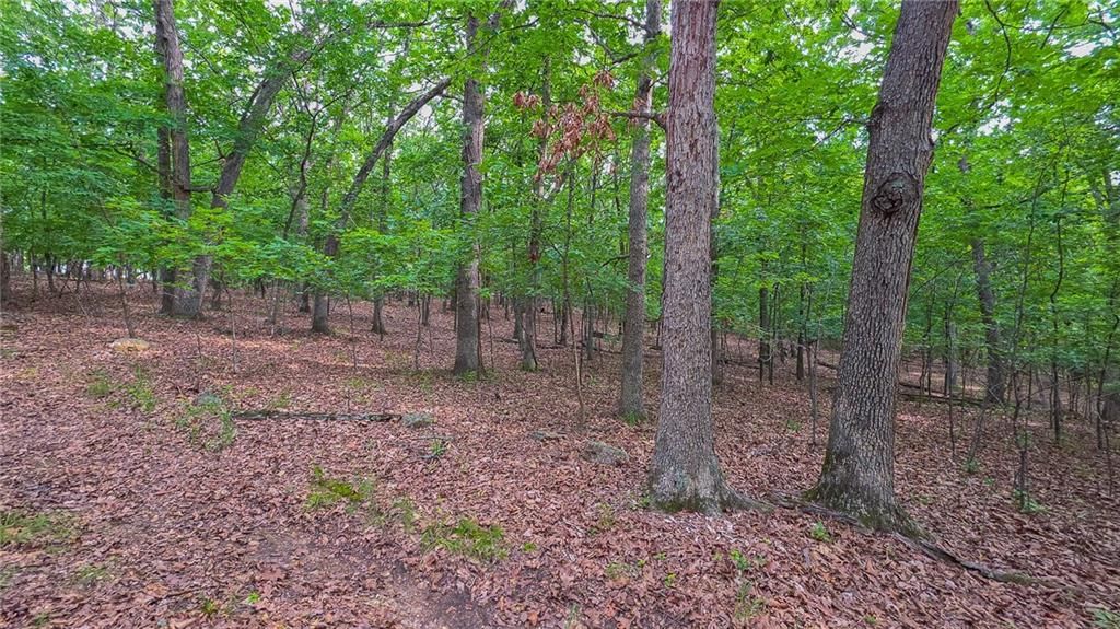 Lot #469 Grand View Drive — photo 9