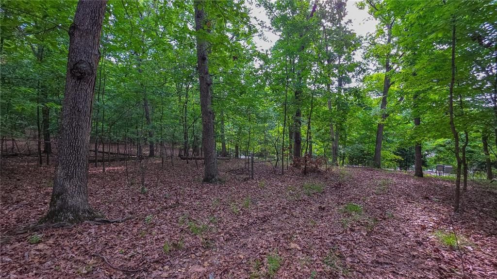 Lot #469 Grand View Drive — photo 10
