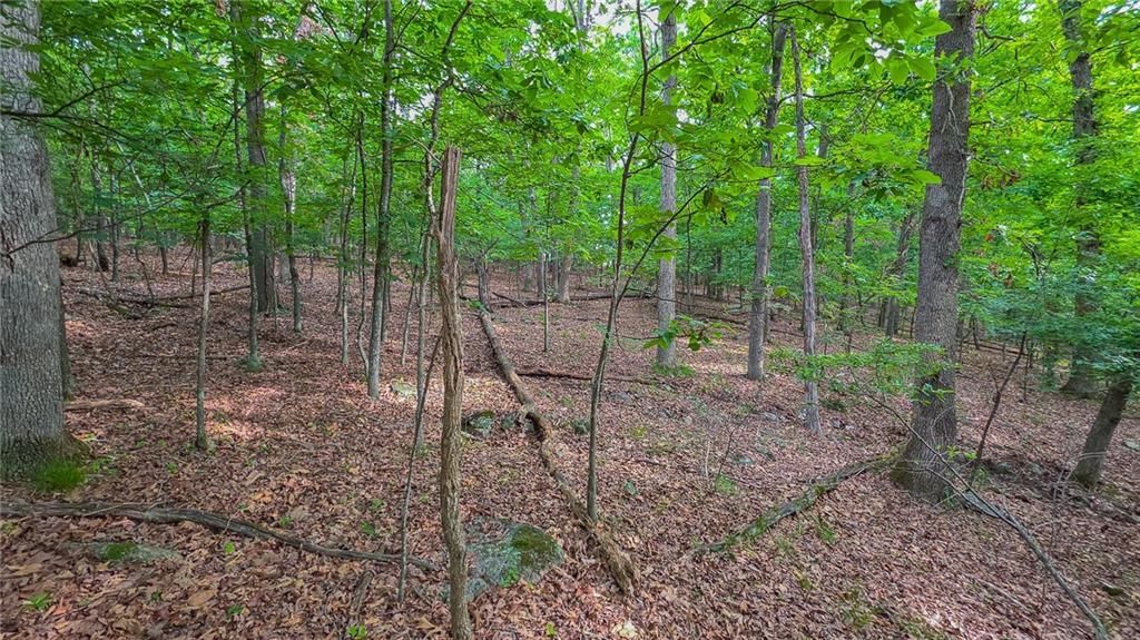 Lot #469 Grand View Drive — photo 11