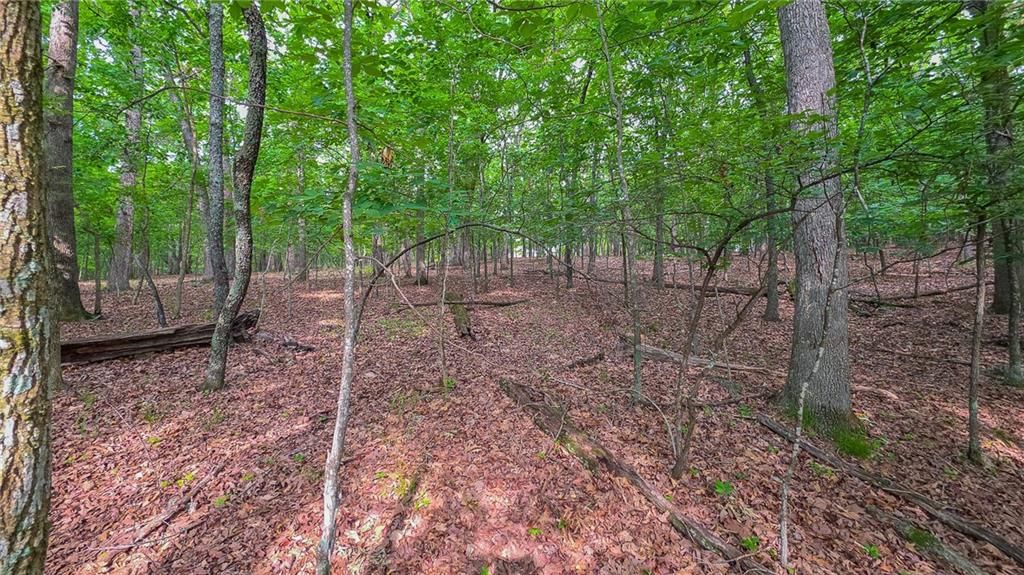 Lot #469 Grand View Drive — photo 12
