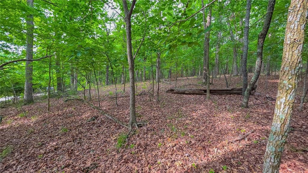 Lot #469 Grand View Drive — photo 13